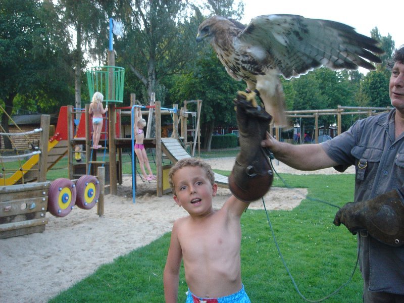 dc-2008-0188 tim, roofvogelshow (30-07-2008)